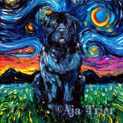 Превью фото № 244650