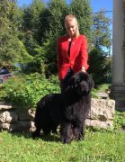 Превью фото № 244656