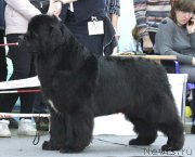 Превью фото № 244672