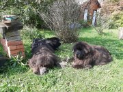 Превью фото № 244675