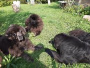 Превью фото № 244676