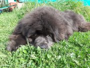 Превью фото № 244681