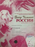 Превью фото № 244684