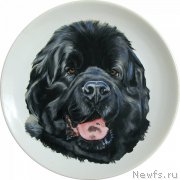 Превью фото № 244685