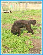 Превью фото № 244717