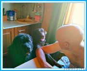 Превью фото № 244720