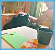 Превью фото № 244721