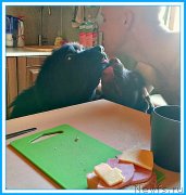 Превью фото № 244722