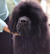 Превью фото № 244739