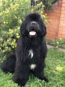 Превью фото № 244746