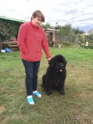 Превью фото № 244777