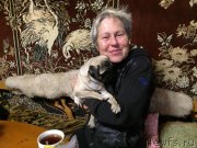 Превью фото № 244782