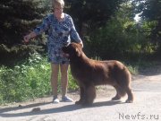 Превью фото № 244824