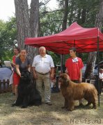 Превью фото № 244830