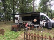 Превью фото № 244831