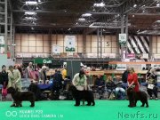 Превью фото № 244832