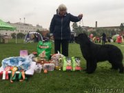 Превью фото № 244853