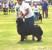 Превью фото № 244899