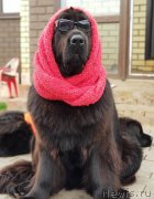 Превью фото № 244938