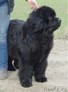 Превью фото № 244945