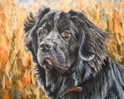 Превью фото № 244948