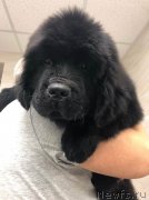 Превью фото № 244963