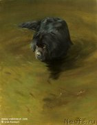 Превью фото № 244964