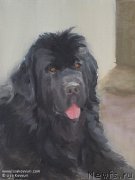 Превью фото № 244978