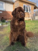 Превью фото № 244999