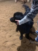 Превью фото № 245042