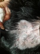 Превью фото № 245043