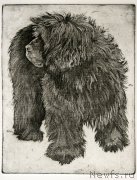 Превью фото № 245044