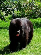 Превью фото № 245075