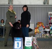 Превью фото № 245080