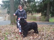 Превью фото № 245082