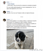 Превью фото № 245107