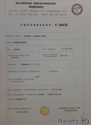 Превью фото № 245131