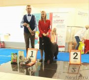 Превью фото № 245176