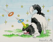 Превью фото № 245400