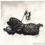 Превью фото № 245408