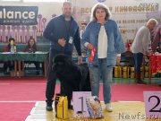 Превью фото № 245434