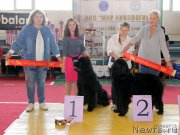 Превью фото № 245439