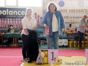 Превью фото № 245440