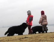 Превью фото № 245449