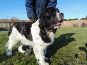 Превью фото № 245470