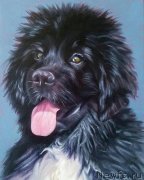 Превью фото № 245475