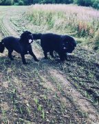 Превью фото № 245476