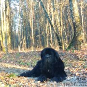 Превью фото № 245484