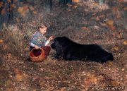 Превью фото № 245491