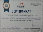 Превью фото № 245501